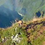 אתר קמפינג Confortable A - 6 Pers. - Api-1-52-2037