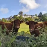 Confortable A - 6 Pers. - Api-1-52-2037