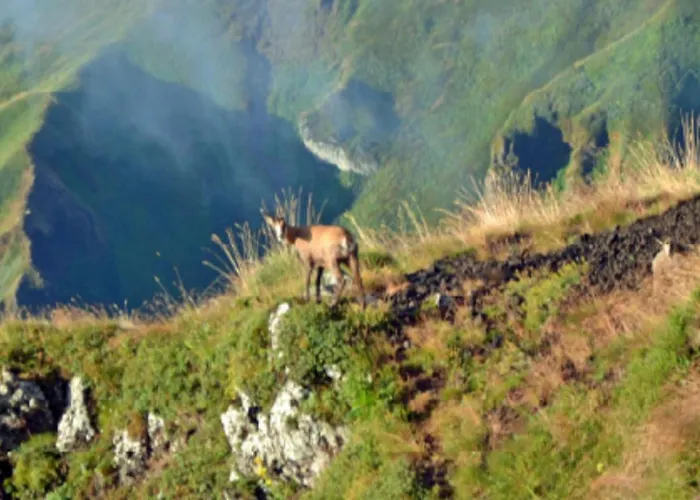 Кемпинг Confortable A - 6 Pers. - Api-1-52-2037