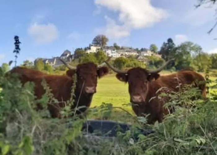 Confortable A - 6 Pers. - Api-1-52-2037